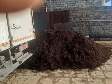 ciya toxumu faydalari: Torf gubresinn satisi 300den cox alana catrlma pulsuz kefietli — 1