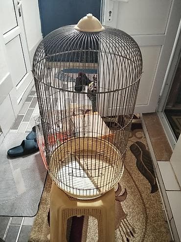 qaz quş: Dairəvi formalı quş qəfəsi ela veziyyeti eladi elaqe 070-349-94-54 — 1