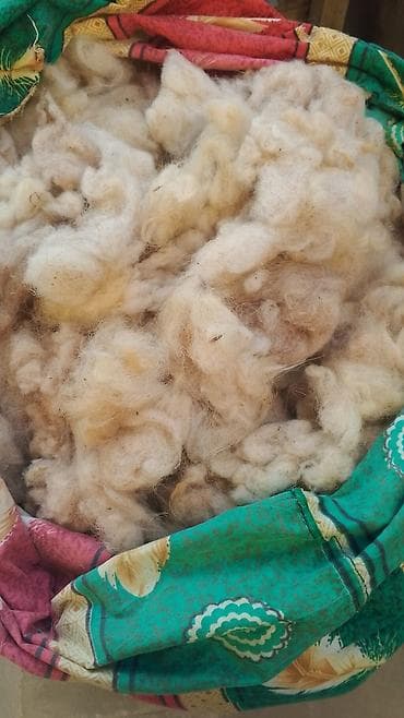 dekor agaclar: Təbii qoyun yunu - Rəng: krem-açıq bej tonları - Lif tipi: yumşaq — 1
