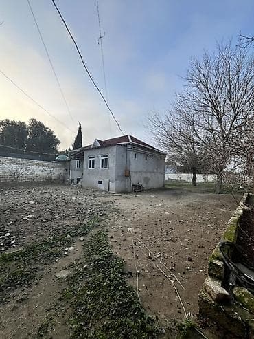 torpaqlar: 10 sot, Tikinti, Mülkiyyətçi, Kupça (Çıxarış) — 9