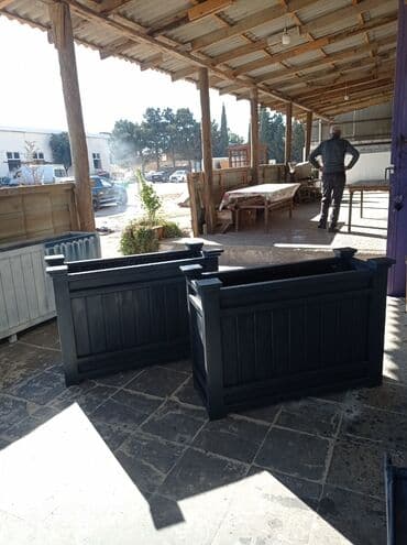 Digər bitkilər: Bir başa sexdən.Sex qiymətinə. ♦️Endrim 2025 il sonu ▶️İstenilən — 7