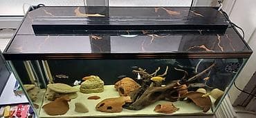 heyvan bazarı: Boş, 96 l, Ünvandan götürmə, Ödənişli çatdırılma — 3