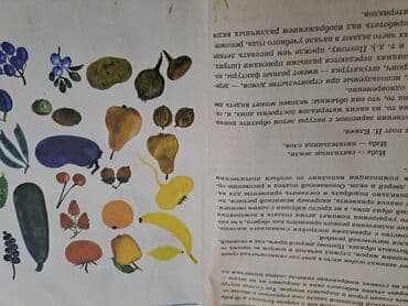 русский язык 2 класс мсо: Большая энциклопедия начальной школы(полный курс начальной школьной — 4