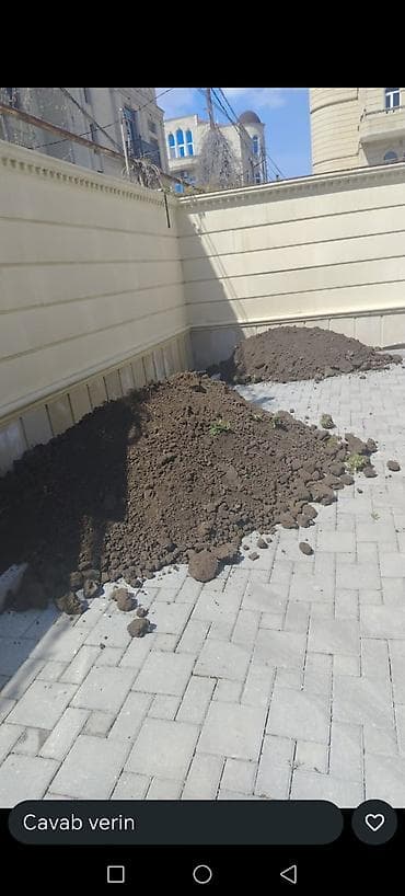 tikanli bitkiler: Qara torpaq – landşaft Bağ, bostan və qazon üçün yüksək keyfiyyətli — 1