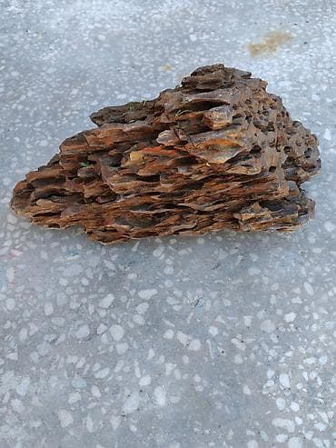 alpin kecisi: Dragon daşları, Koregalar, Akvaryum dekoru üçün təbii materiallar — 3