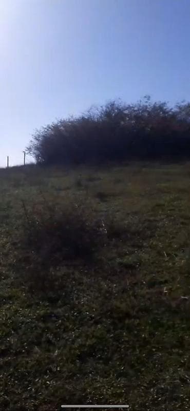 samaxi: 10 sot, Tikinti — 5