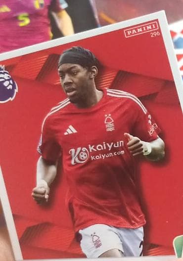 ufc əlcəyi: Satriam ve ya barter eleyirem. f1,ufc,futbol — 1