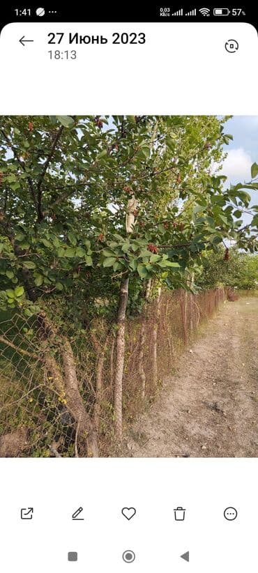 ferma icarəyə verilir: 10 sot, Tikinti, Mülkiyyətçi, Kupça (Çıxarış) — 1