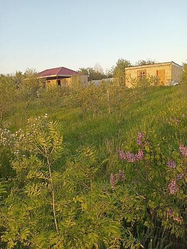 kənd əhmədli: 6 sot, Biznes üçün, Mülkiyyətçi, Kupça (Çıxarış) — 8