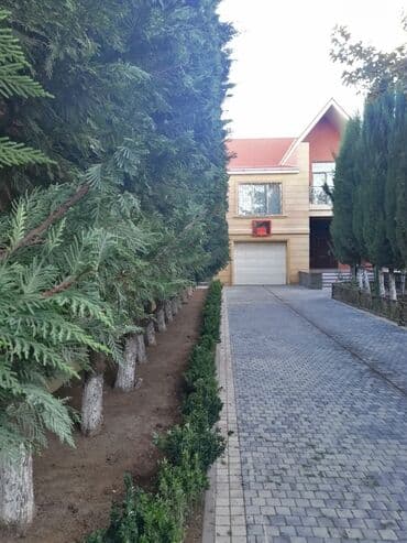 работа уборщицы на неполный рабочий день: Salam aleykum Adim Sahib 44yaşim var Bakıda yaşayiram Baki etrafi — 20