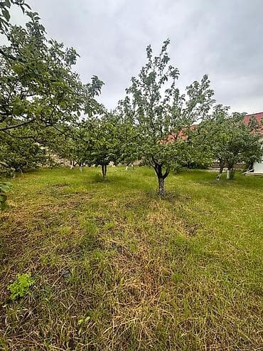 Bağ evlərinin satışı: Bakı, 1200 kv. m, 7 otaqlı, Hovuzsuz, Su — 2