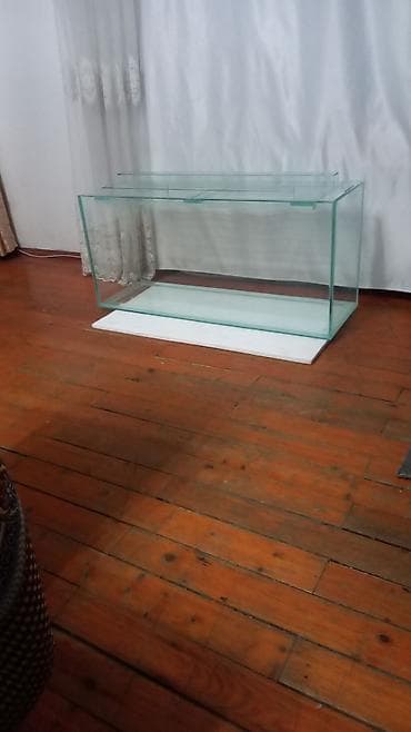 heyvanlar atlar: Şüşə akvarium dəsti - Şəffaf, düz kənarlı şüşədən hazırlanmış — 5