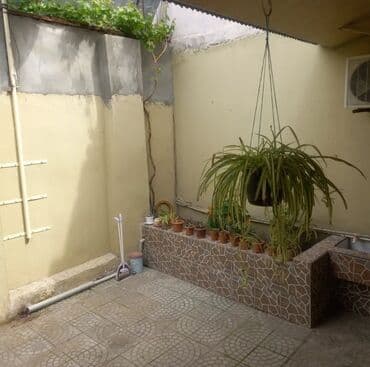 аренда дома на длительный срок: Satılır: həyətli 1 mərtəbəli ev Ünvan və ətraf mühit: - Şəhər — 5