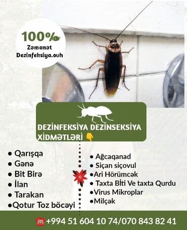 en yaxsi xalca yuma hansi: Dezinfeksiya, dezinseksiya | Taxtabiti, Birələr, Tarakanlar | Nəqliyyat, Ofislər, Mənzillər — 5