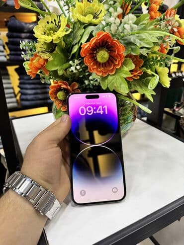 Apple iPhone: IPhone 14 Pro Max, 256 GB, Face ID