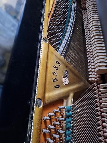 idman və hobbi: Piano, Akustik, İşlənmiş — 2