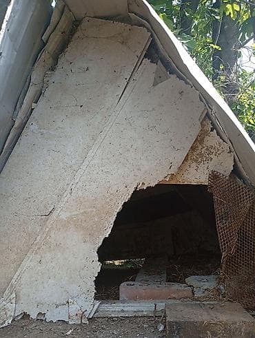 itlerin ucuz qiymete satisi: Salam it yuvası ətrafı dəmirdəndi altı taxtadan 85m çox münasib — 7
