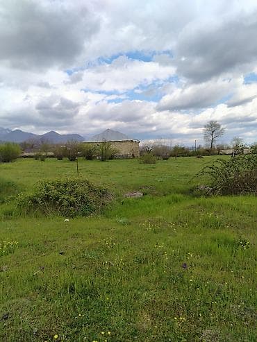 qara torpaq satilir: 5 sot, Tikinti, Maklerlər narahat etməsin, Kupça (Çıxarış) — 6