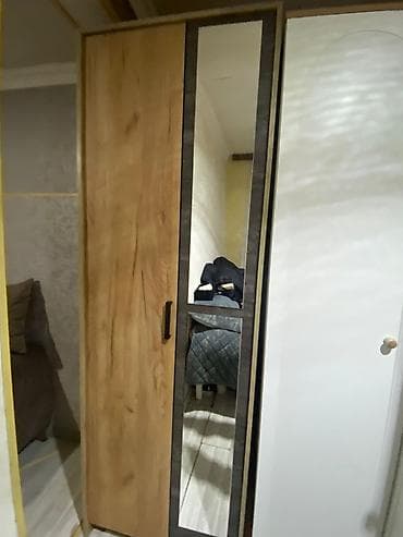 dolablar 2ci əl: 2 qapılı, Güzgülü, Boz, Taxta, Açılan, Düz dolab — 3