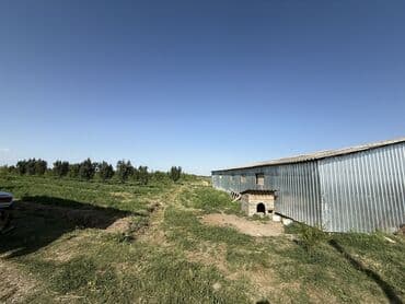 türkanda bağ evi satılır: Gəncə, 1500 kv. m, 1 otaqlı, Hovuzlu, Artezian quyusu, Su, İşıq — 6