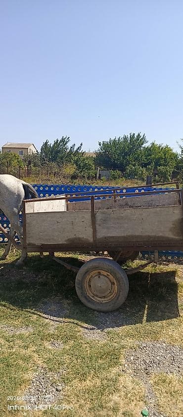 brabus disk: At arabası və qoşqu dəsti - İki təkərli, yarımörtülü taxta bortlu — 2