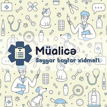 baytar it hekimi: Səyyar Baytar Xidməti • Вызов ветеринара на дом 👨🏻‍⚕️ Peşəkar və — 4