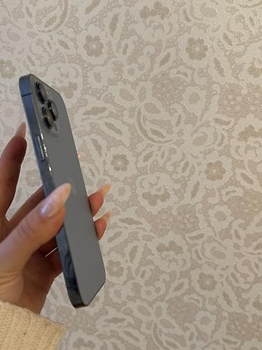 max co: IPhone 13 Pro Max, 256 GB — 8