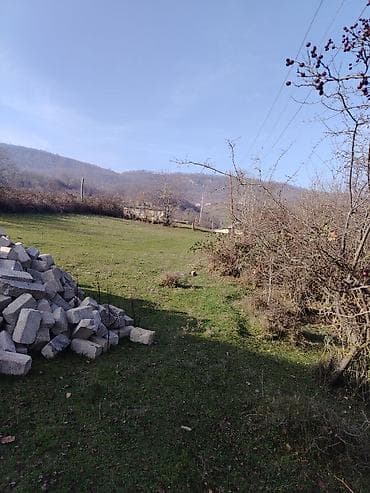 Otaqlar: 14 sot, Tikinti, Mülkiyyətçi, Kupça (Çıxarış) — 4