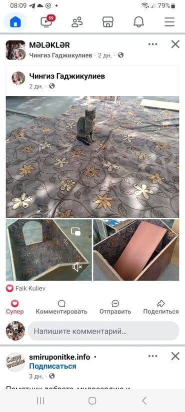 pişik yuva: Məhsul: Pişiklər üçün küçə/ həyət evi və yemləmə stansiyası Təsvir: - — 3