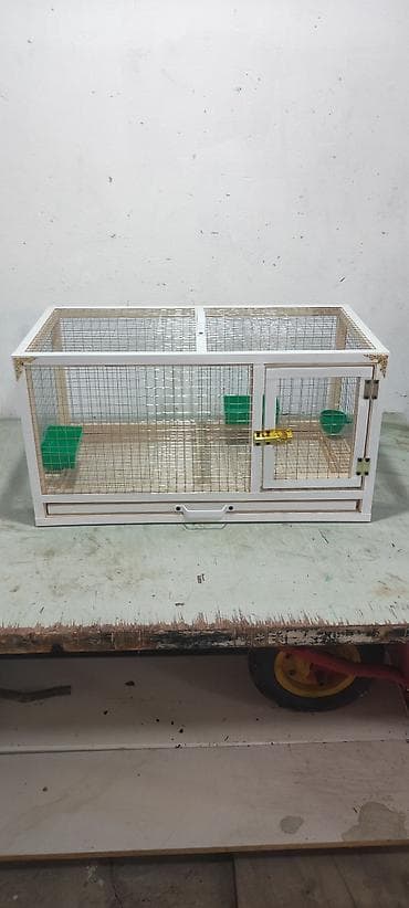 Dovşan,cücə,pişik,hamster,quş ve s kimi ev heyvanlari üçün qəfəsler
