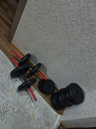 demir halqa ile ariqlamaq: Ştanq diski, Çəki: 40 kq, Yeni — 5