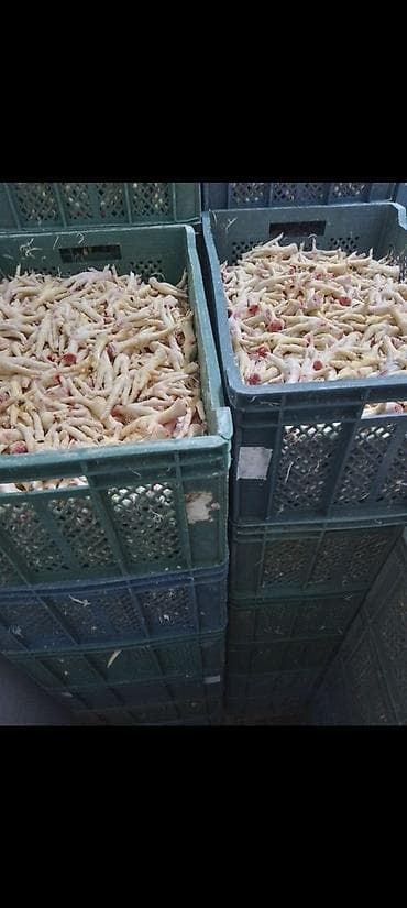 It yemi toyuq ayağı təzədir hərgün olur hərcins itlər rahat yeyir lalafo.az -da It yemi toyuq ayağı təzədir hərgün olur hərcins itlər rahat yeyir