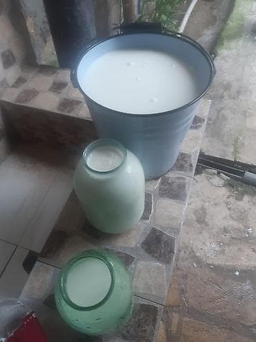 ana ari satışı: Birinci qarin ağ kirpik ivanovka super duyedi balasi dişidi yaxsi — 6