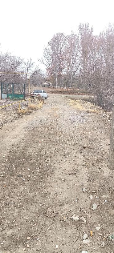 6 sot, Tikinti, Mülkiyyətçi, Kupça (Çıxarış)