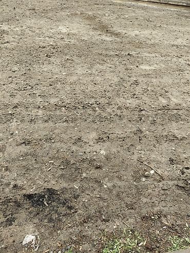 Qarajlar: Kənd təsərrüfatı — 1