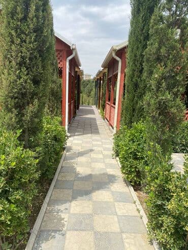 tendirxana icareye verilir 2025: Sabunçu rayonu aeroport yoluna yaxın 30sot geniş həyəti olan 800 kv.m — 5