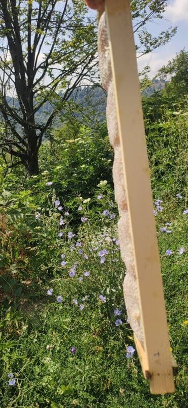 продается мед: ELF BEE'S 1977 ECO-PRODUCT FOR HEALTH AND LONGEVITY Tovuzun — 21