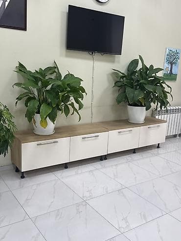 взять офис в аренду: Tədris mərkəzi üçün tam təchiz olunmuş materiallar - şəkildə görünənn — 9