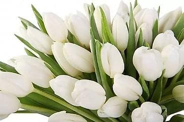 geran gul: M, sarı) və qarışıq rəng kombinasiyaları. - Sıx və həcimli — 5