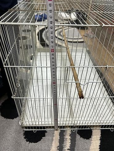 afcarka bala: Böyük ölçülü quş qəfəsi - Material: möhkəm metal tor, ağ rəng - — 6