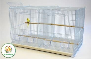 qəfəsi: Tutuquşu qəfəsi. Qəfəs valyer (arakəsməli) Qəfəsin ölçüsü 60sm eni — 3