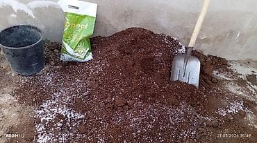 biogel aloe vera: Otaq bitgilerine torf ve drenaj perlit parladcilar — 3