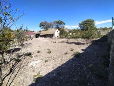 şıxovda torpaq sahəsi: 6 sot, Kənd təsərrüfatı, Kupça (Çıxarış) — 6