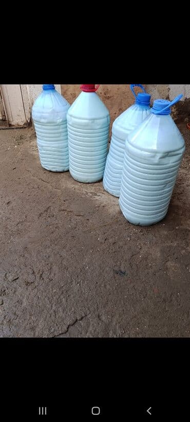 Salam sud temiz yagli suddu gunde 150 litr olur real aliciynan