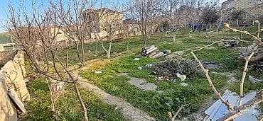 3 sot, Tikinti, Mülkiyyətçi, Kupça (Çıxarış) — 5