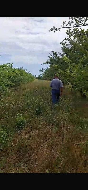 bolt hansi masinlari qebul edir: 150 sot, Biznes üçün, Barter mümkündür, Kupça (Çıxarış) — 9