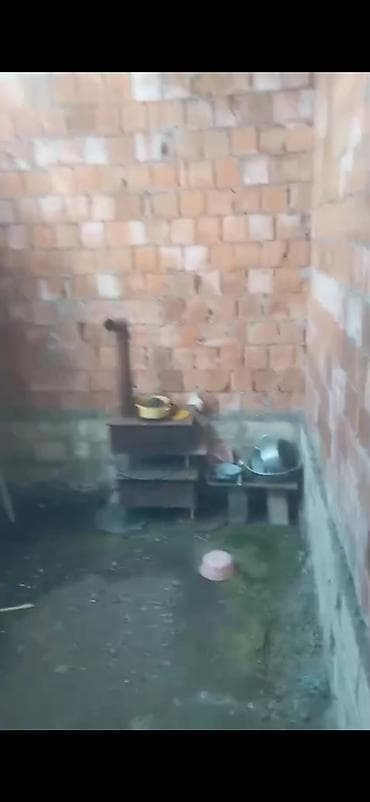 dede qorqud qesebesi: Kənd təsərrüfatı — 9