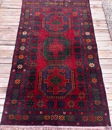 kala gülünün faydaları: Xalça Dekorativ, Azərbaycan, Kredit yoxdur — 1