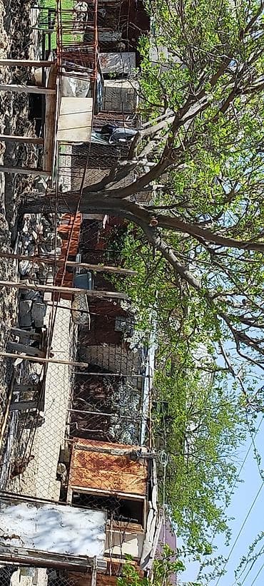 torpag: Kənd təsərrüfatı — 1