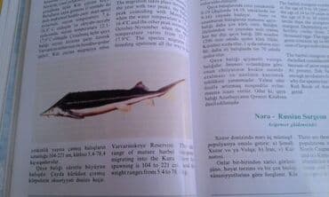 сколько стоит мотоцикл: Müxtəlif kitablar satılır. Biri 40 manat. "Nərəkimilər - dinozavrların — 8